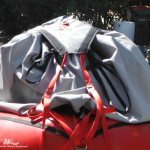 Mushroom Bag - Image 4